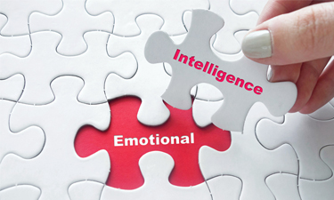 Developing Your Emotional Intelligence 
